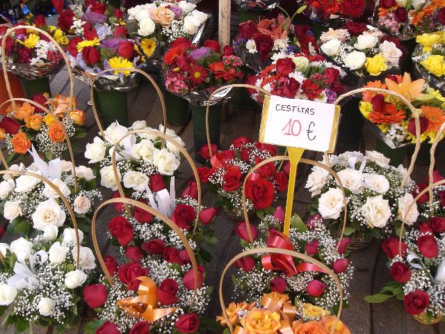 [CIMG6510+menor.jpg]