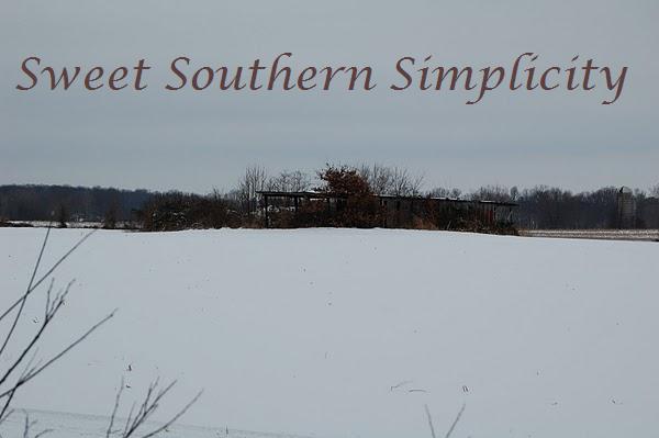 Sweet Southern Simplicity