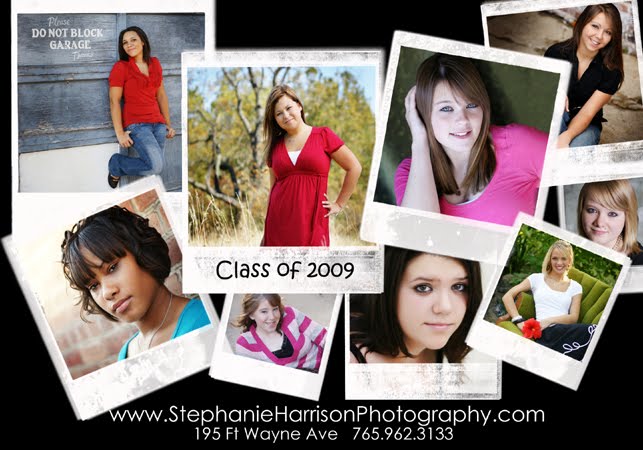 Stephanie Harrison Photography Blog
