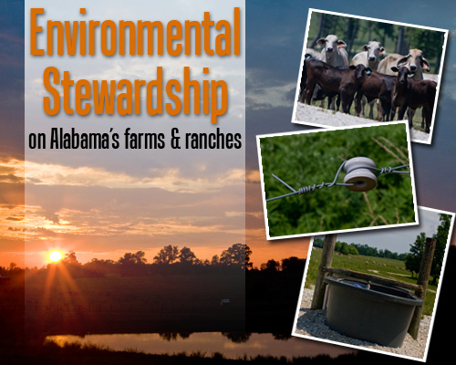 Bama Beef Blog America s Original Environmentalists