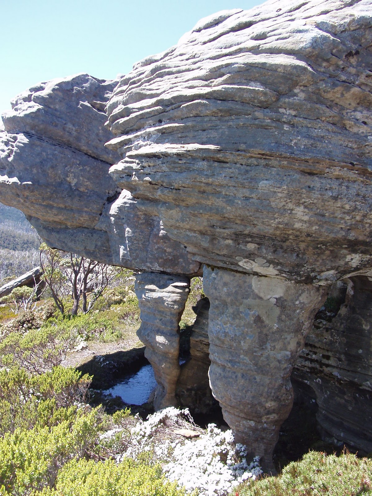 The Big Adventure Continues: Lake St Clair/ Cradle Mountain National ...