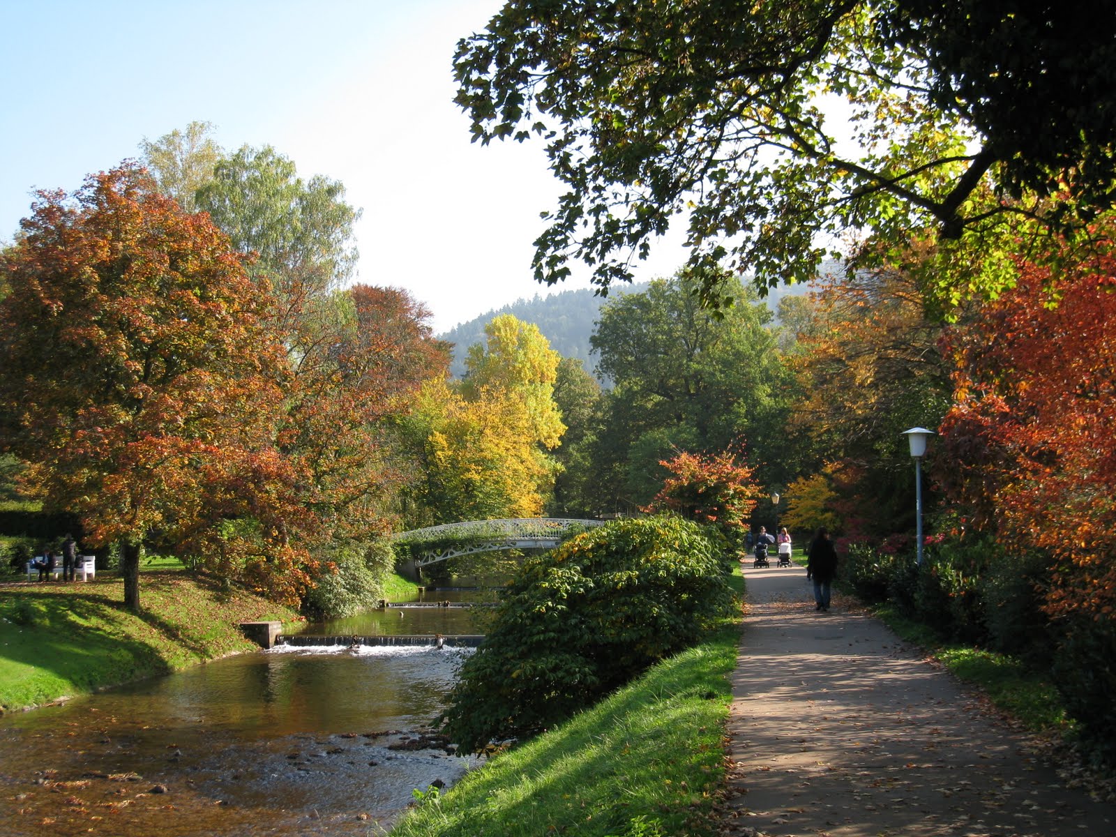 Make it count: Day #207 - Black Forest, Germany