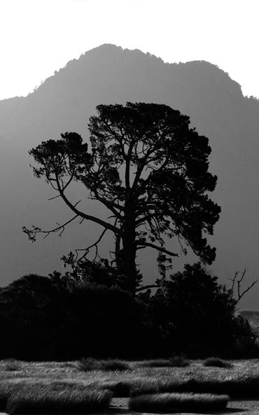 [sacred©NicoleBarker.jpg]