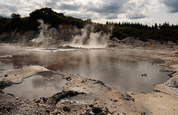 [rot©NicoleBarker.jpg]