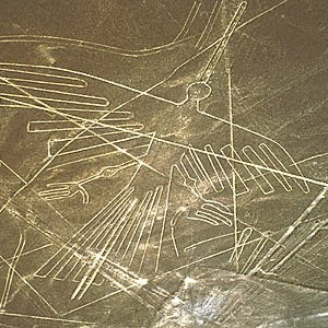 Líneas de Nazca formando figuras