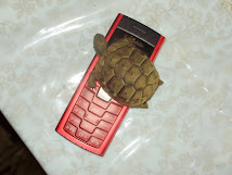 Turtle on mobile