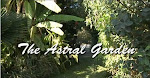 le jardin astral de Palmille
