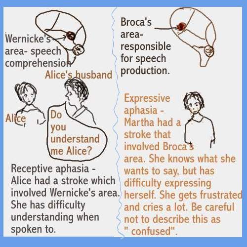 dear-nurses-receptive-and-expressive-aphasia