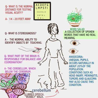 Dear Nurses: BRAIN TEASERS FOR NURSES
