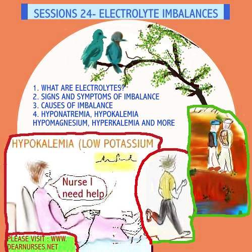 [SESSIONS+24-ELECTROLYTE+IMBALANCES1.JPG]