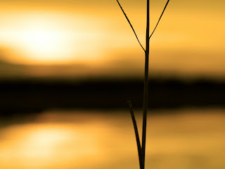 Simple Sun Set Nature HD Wallpaper
