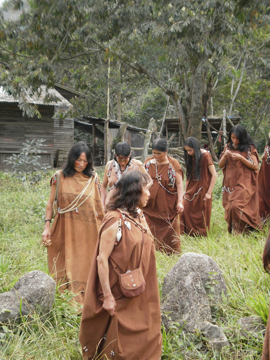 Mujeres Yaneshas en Palmazu
