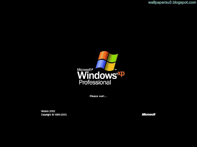 Windows XP Normal Resolution Wallpaper