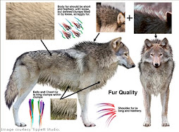 New moons Transformations
