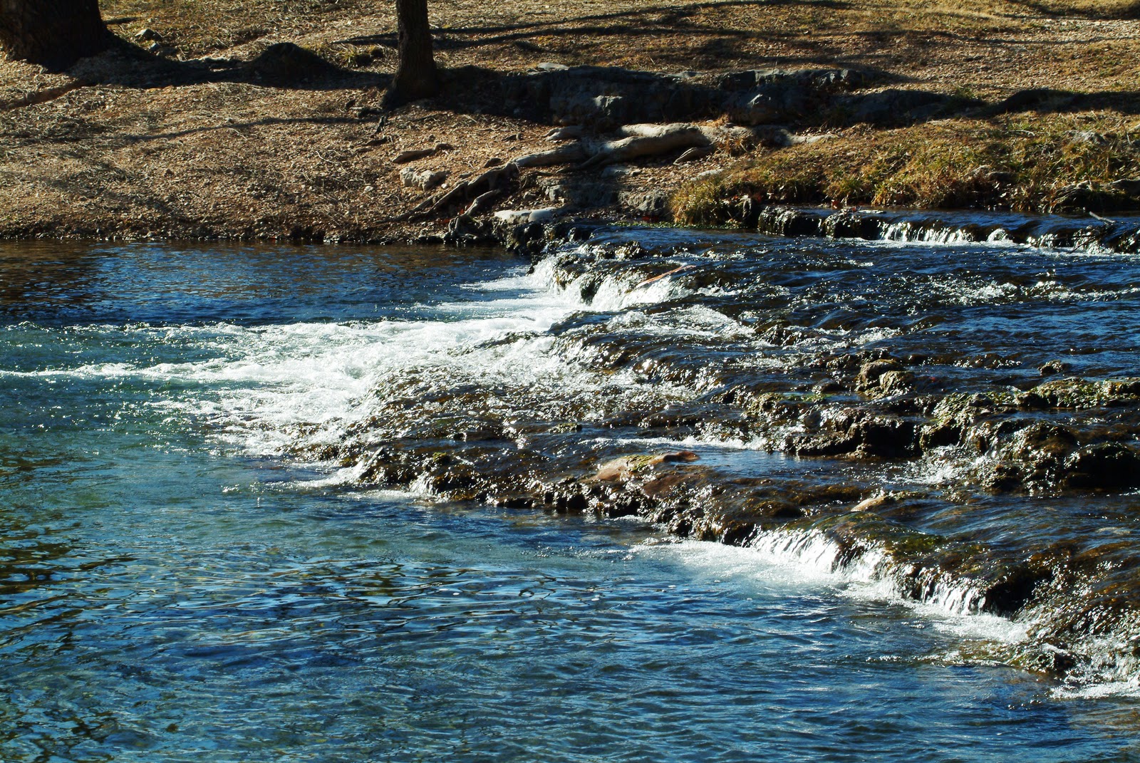 With Love, From Me to You An 80 Degree Day in January