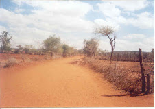 Earth roads and walking paths