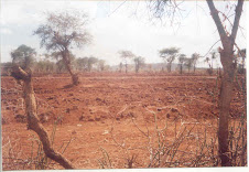 Empty large tracts of unproductive land