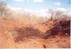 Dry streams and parched land