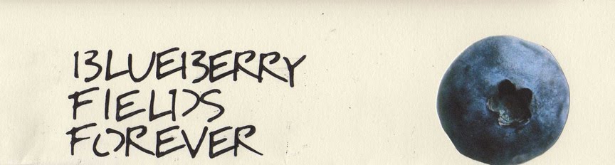 Blueberry Fields Forever