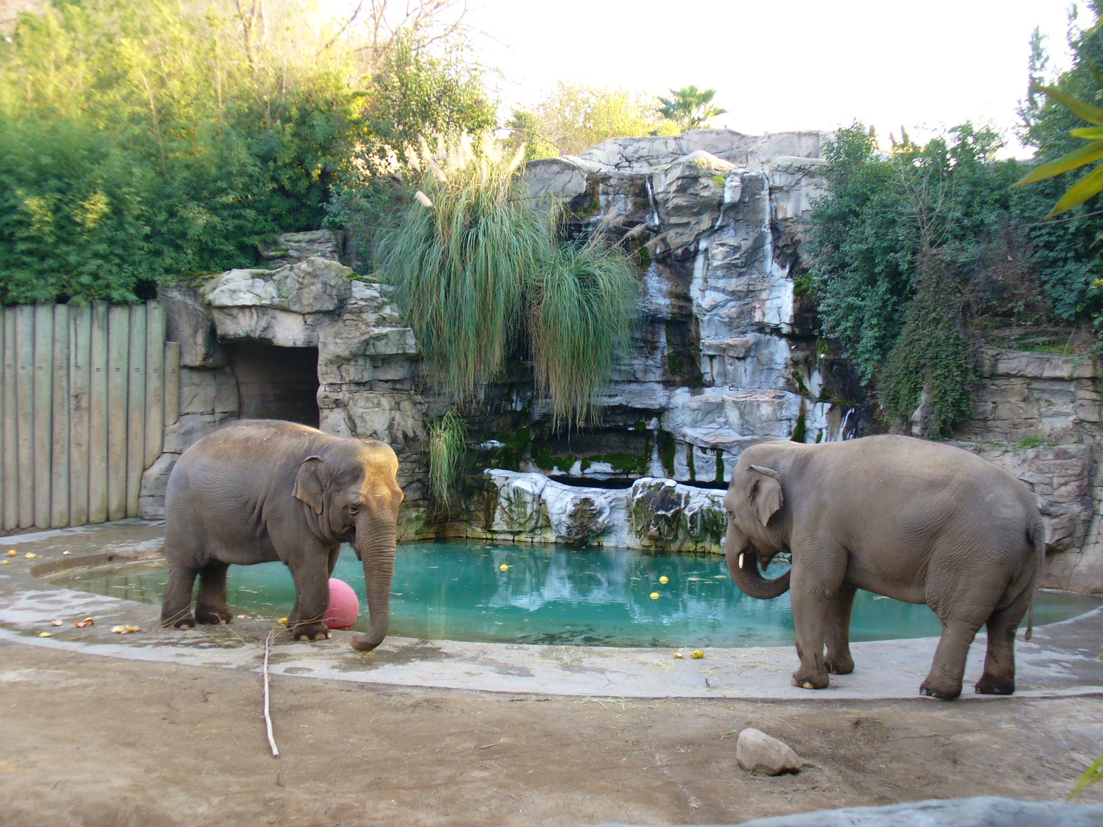 A Click By Me Fresno Zoo 2 A Click By Me Fresno Zoo 2