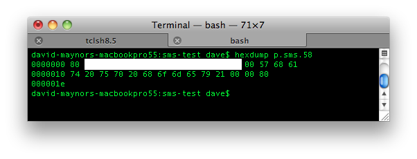 [iphone-sms-raw-vi-2.png]