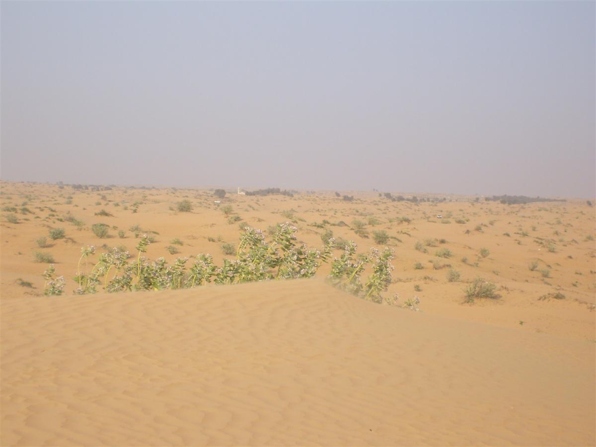 [S7000956-712377.JPG]