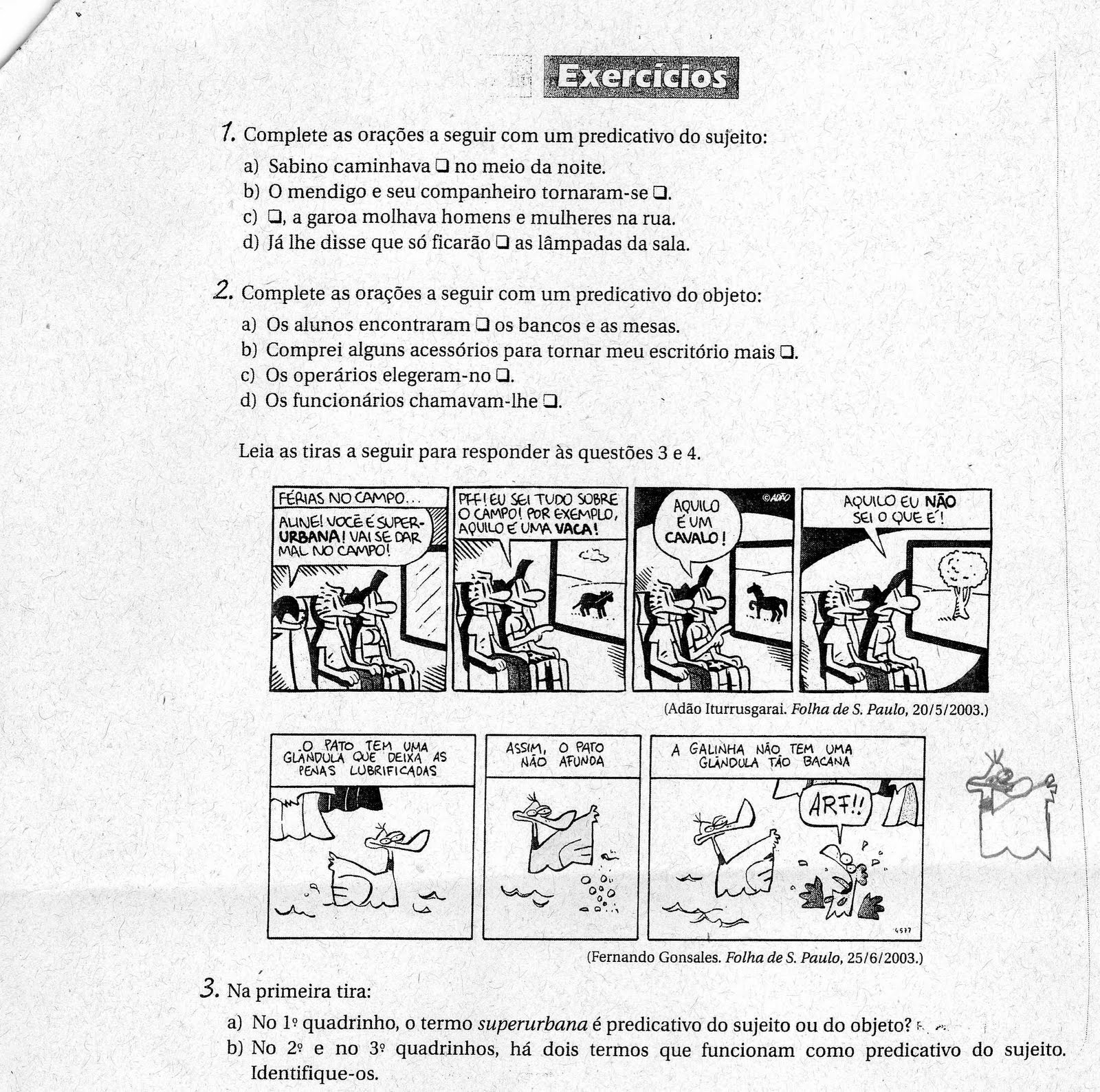 Ensino Fundamental 8º Ano: Exercícios de português 2010 - CSVP
