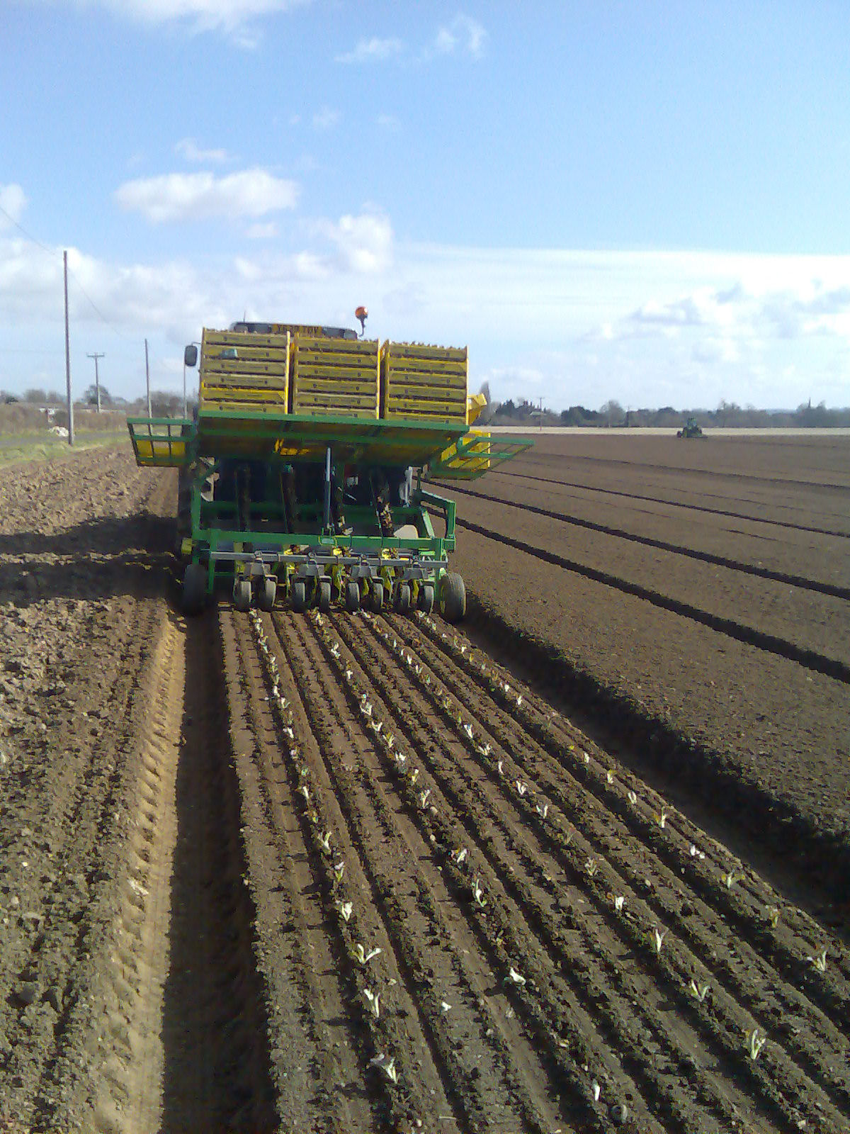 [First+planting+march+2009.jpg]