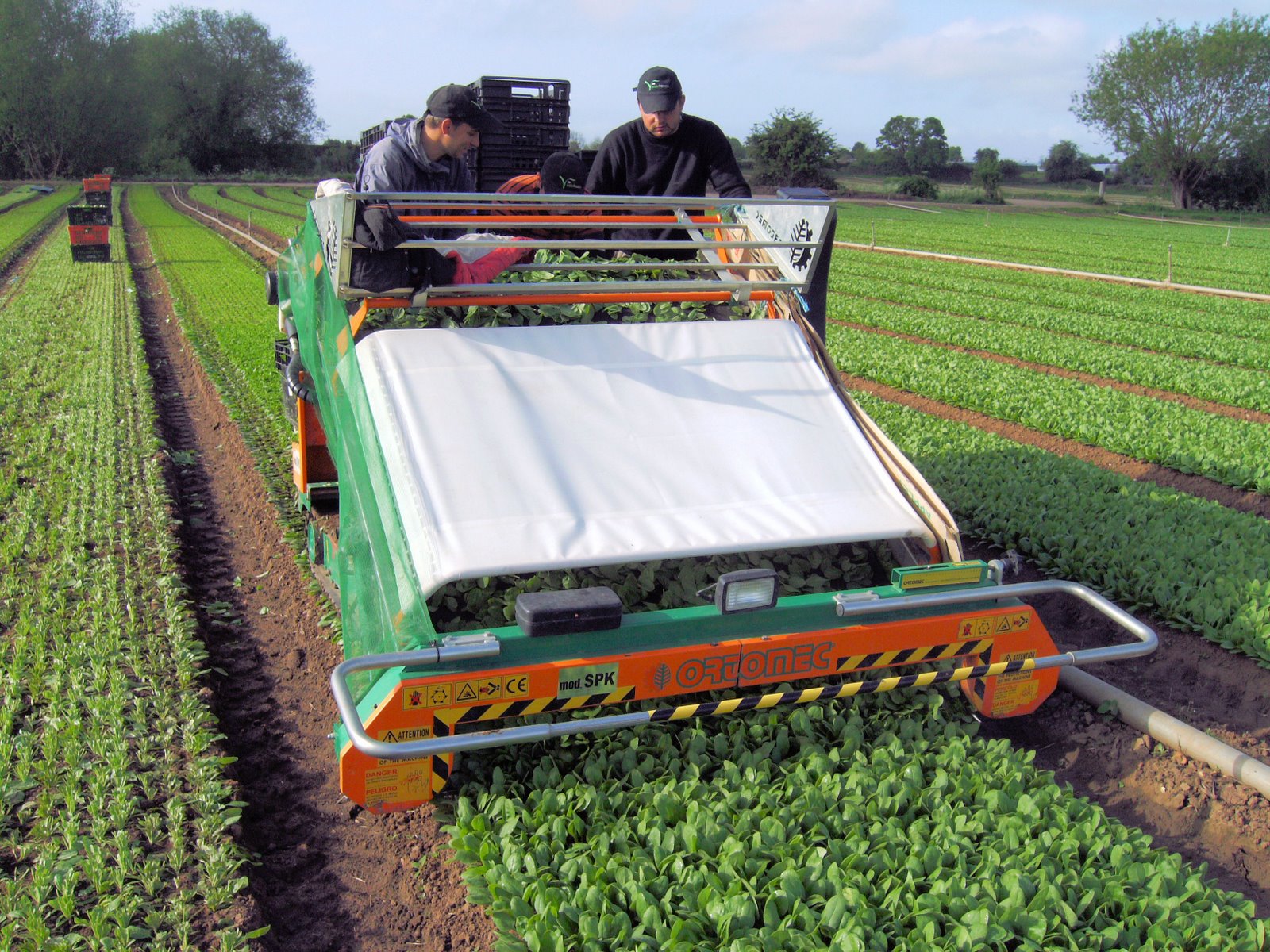 [babyleaf++spinach+harvester+2.jpg]