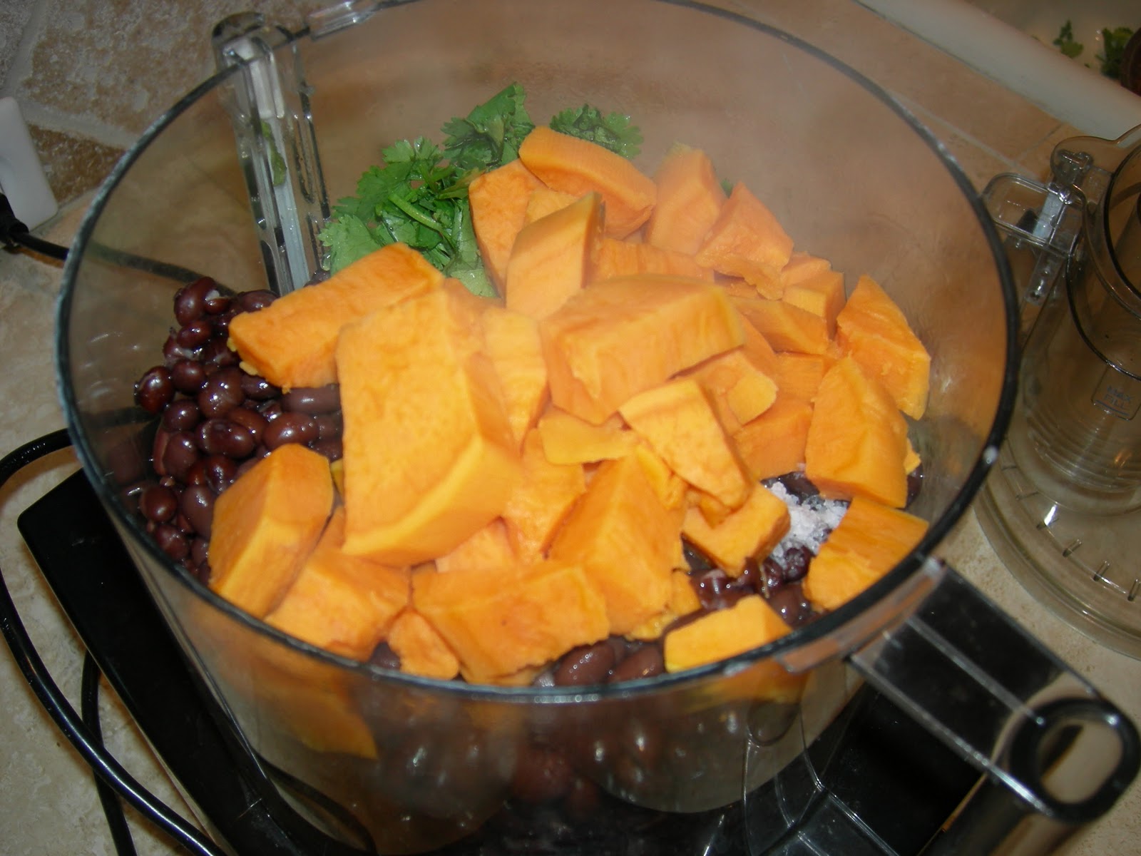 Tuesday Night Swap Moosewood Restaurant's Sweet Potato and Black Bean