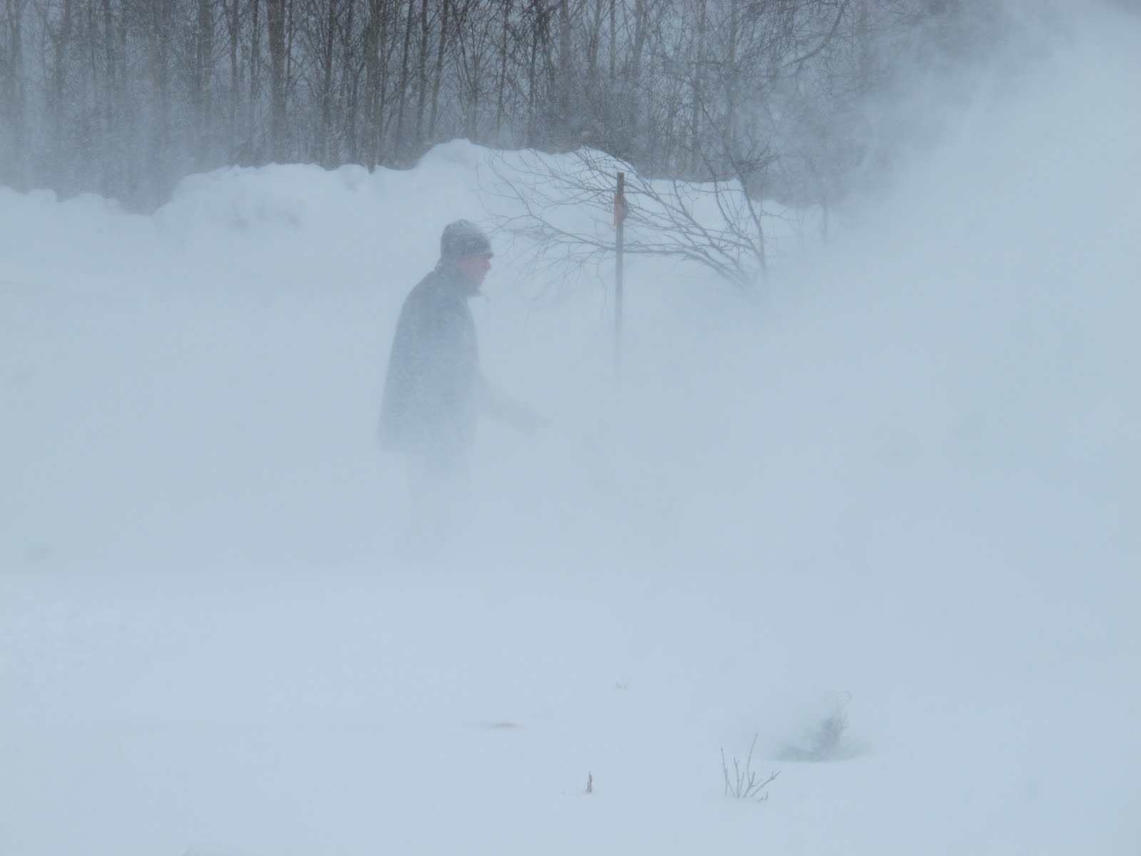 Five Forty at Home: The Snow did Blow...