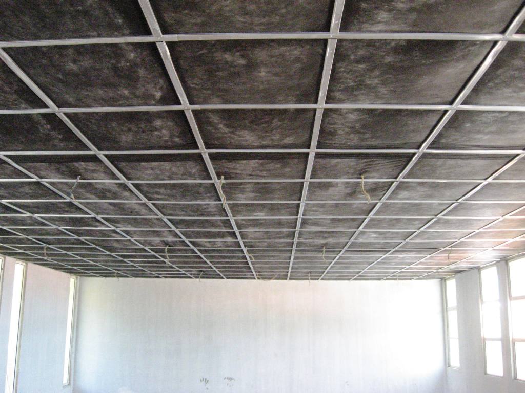 Save Energy Save The CELLULOSE INSULATION ACOUSTIC