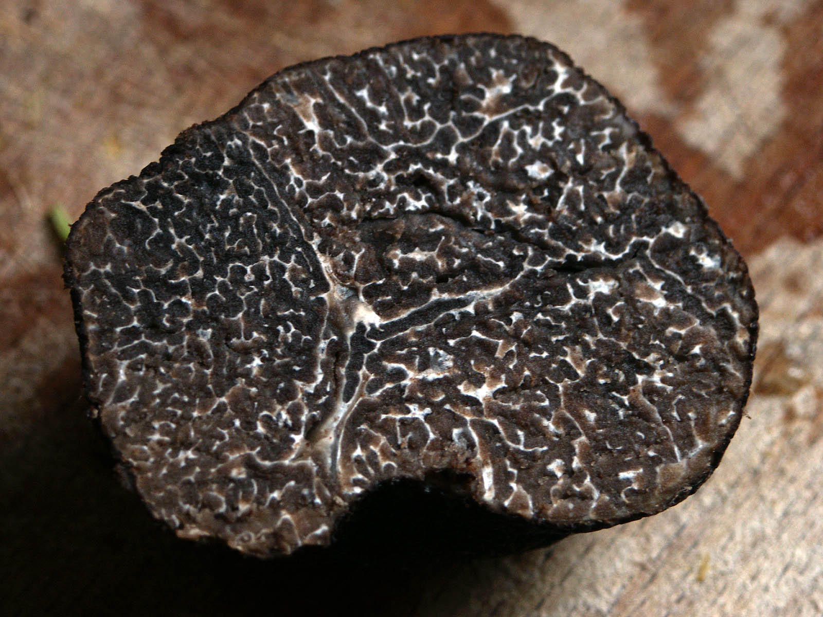 La truffe: Les truffes, qu'est ce?