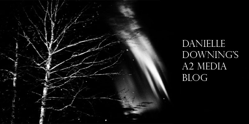 Danielle Downing's A2 Media Blog