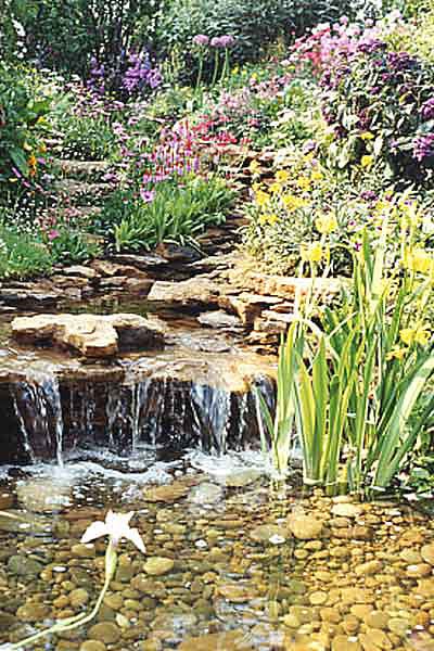 Home Garden: Garden Water Features - Streams