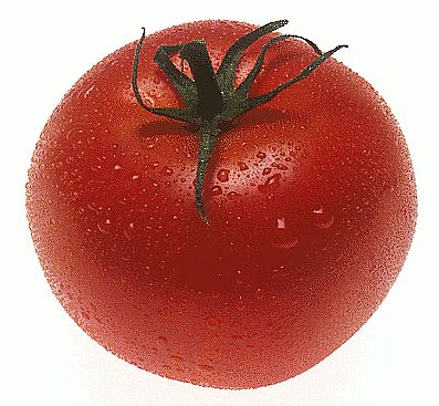 [tomato.jpg_Full.jpg]