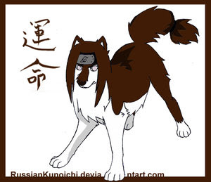 http://2.bp.blogspot.com/_ATb4XzJWGS8/SkNUMRIzG-I/AAAAAAAAACw/VmWRkngZN0Y/s320/Neji_by_RussianKunoichi.jpg