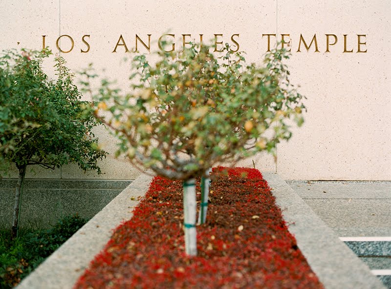  reception in an LDS stake center and they made it look incredible