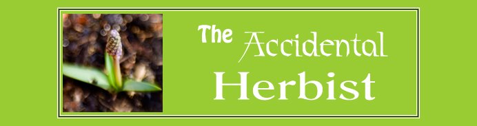 The Accidental Herbist