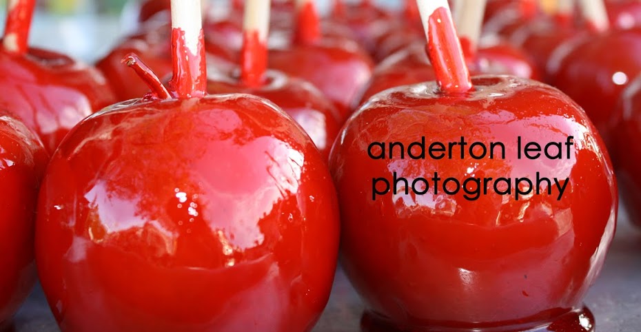 anderton leaf photography