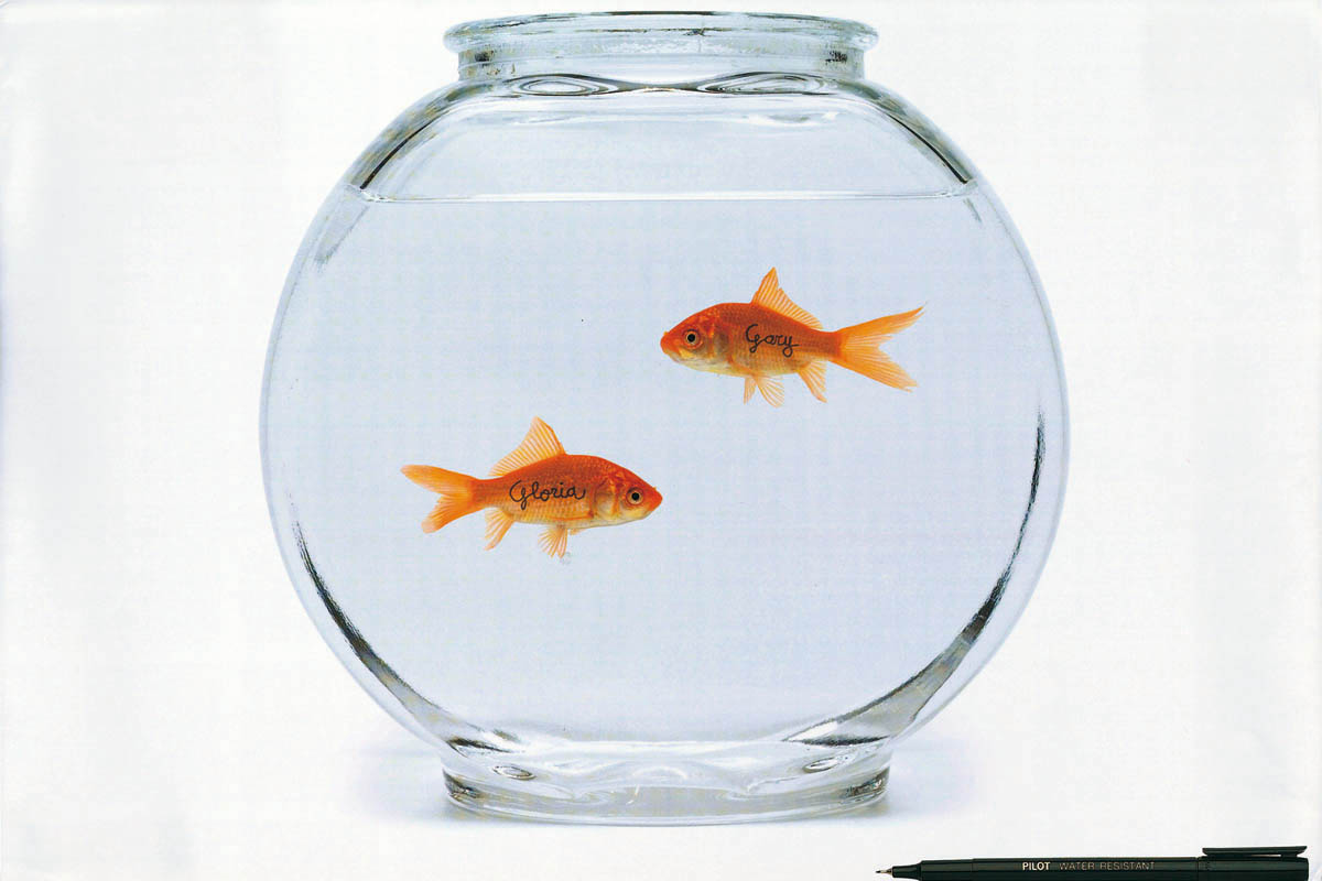 Goldfish 2 Goldfish 2