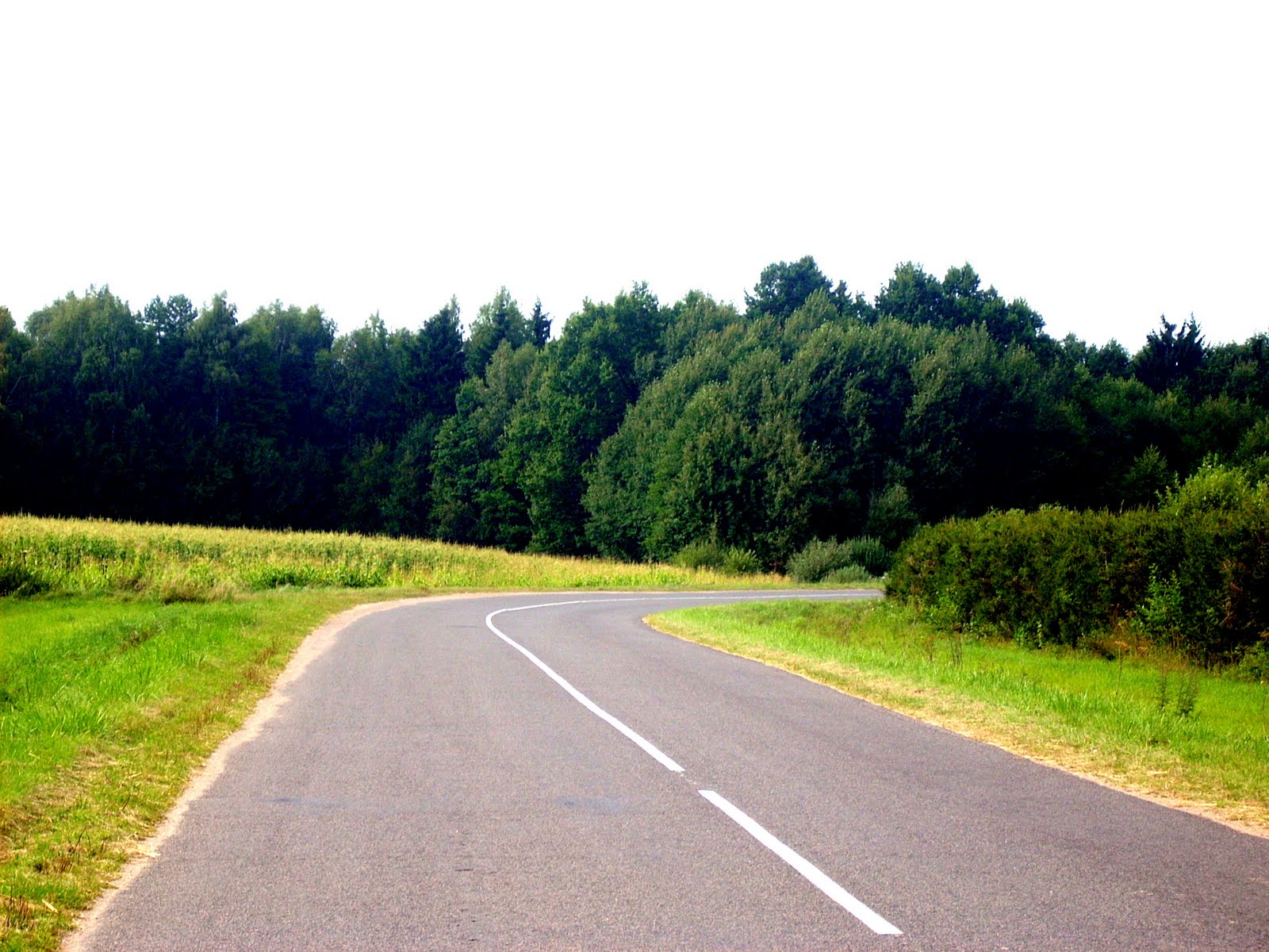 крутой поворот саруханов веске. позади крутой поворот. крутой поворот фильм 1996. крутой поворот томск архив. крутой поворот (1980).