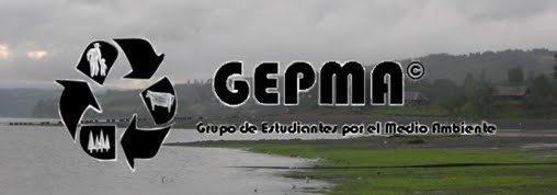 Grupo de Estudiantes GEPMA