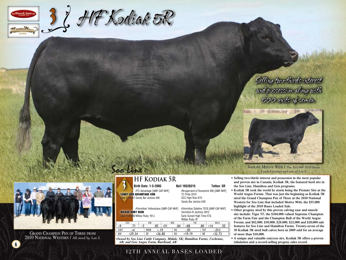 A Fresh Start Denver Stock Show 2011 Bases Loaded