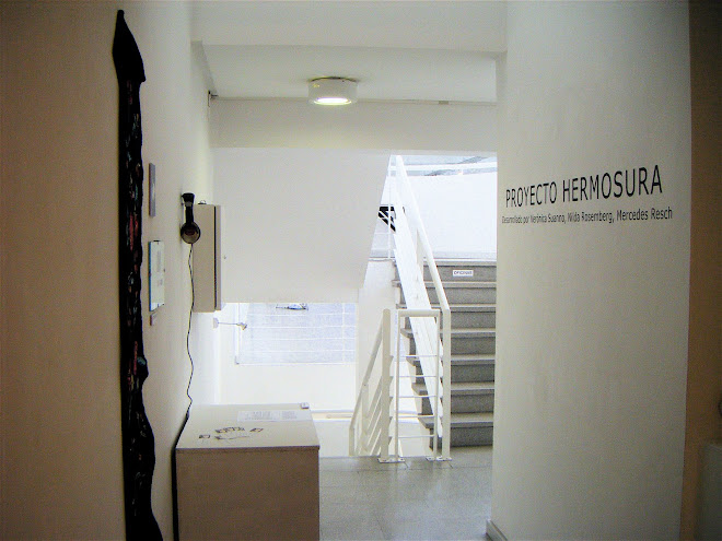 Museo de Arte Contemporáneo  Bahía Blanca 06/ 03/09