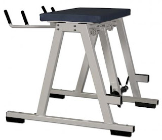 Therapy Reverse Hyper