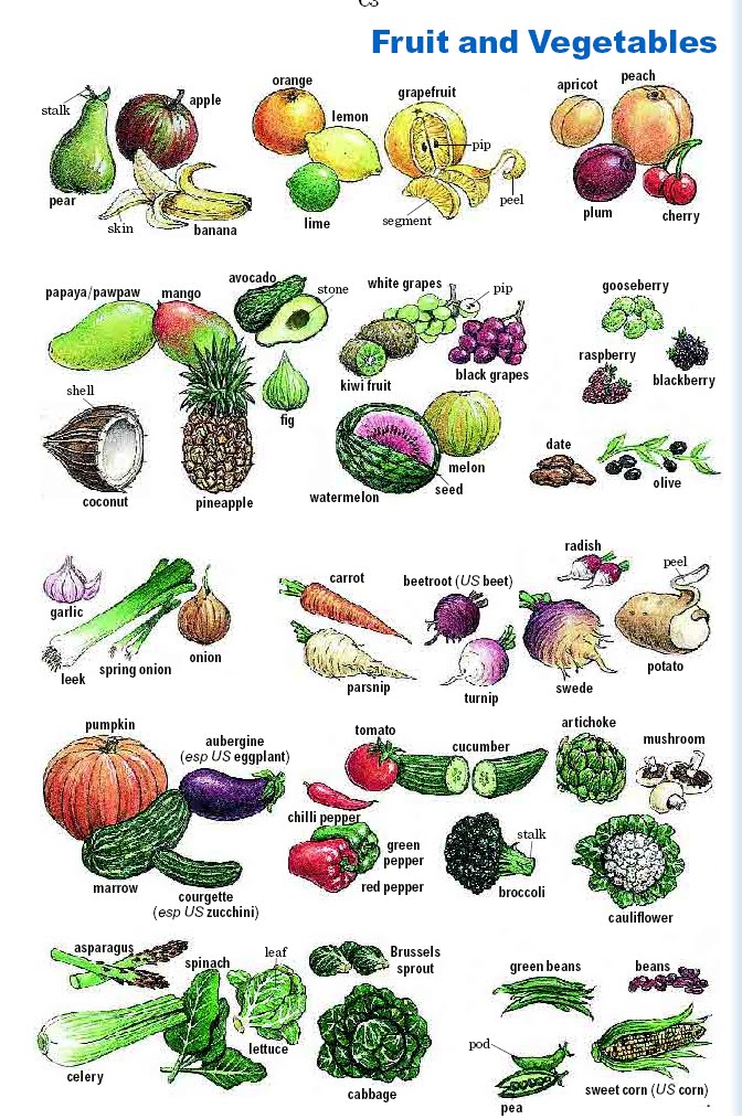 English for service FRUIT AND VEGETABLES VOCABULARY