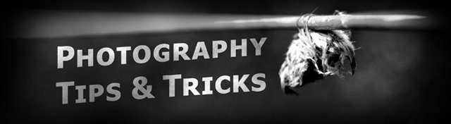 Photography Tips and Tricks