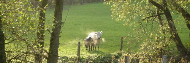 pastasciutta Oktober 2010