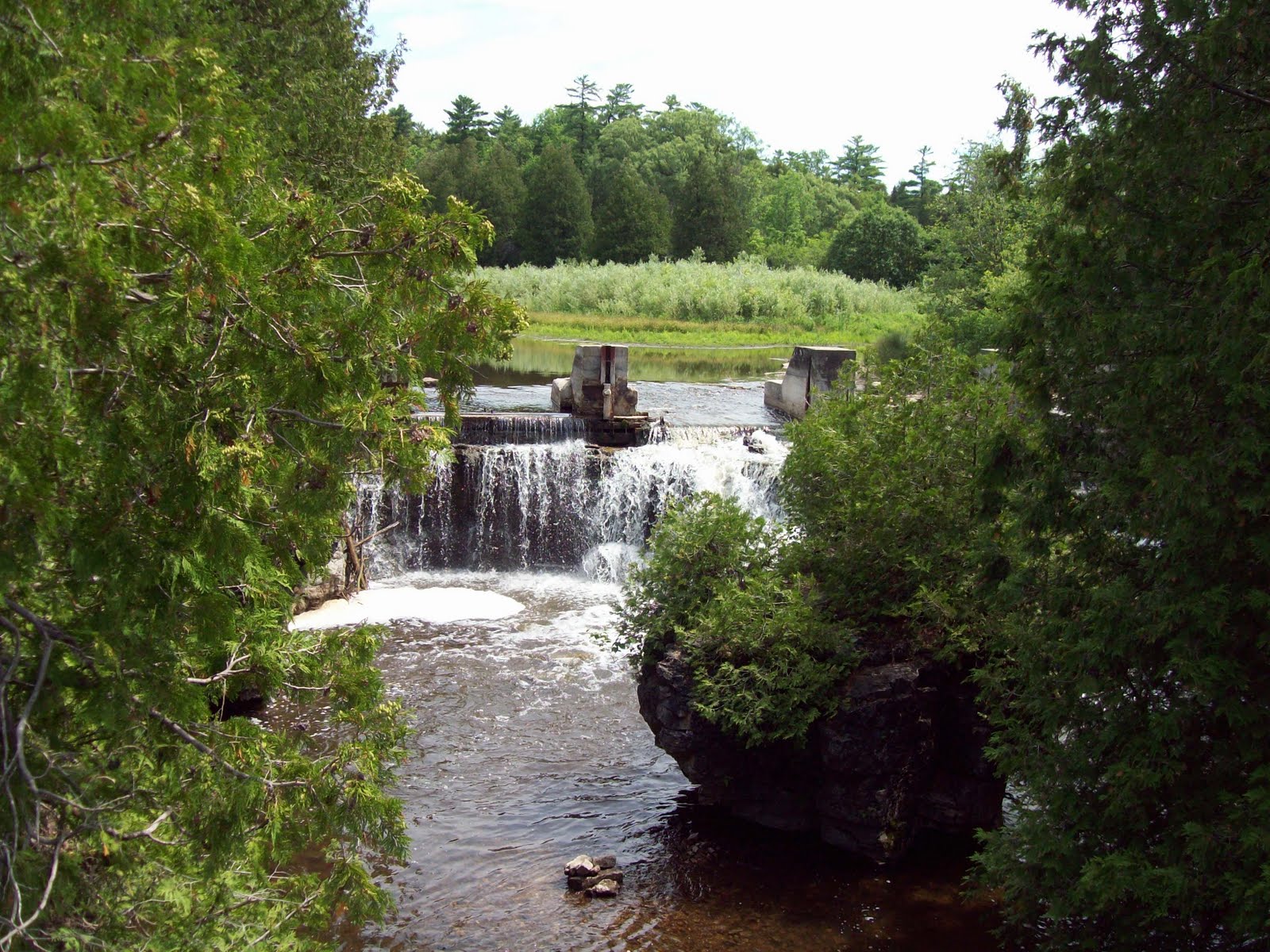 C.M.Camping June 2010 Rockwood Conservation Area. Ontario